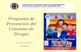 Programa de Prevención del Consumo de Drogas M. Cecilia Vegas V. Psicóloga.