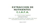 EXTRACCION DE NUTRIENTES C.I.A.F.A. Cr. Carlos Enrique Capparelli ARGENTINA Bases: IPNI, SAGPyA, Fertilizar, IFA, Darwich, CRA, Bolsa de Cereales de Buenos.