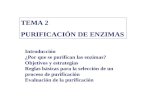 TEMA 2 PURIFICACIÓN DE ENZIMAS Introducción ¿Por que se purifican las enzimas? Objetivos y estrategias Reglas básicas para la selección de un proceso de.