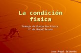 La condición física Trabajo de Educación Física 2º de Bachillerato Jose Ángel Belmonte Rodríguez.