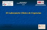 El Laboratorio Clínico de Urgencias AGÈNCIA VALENCIANA DE SALUT DEPARTAMENT 15 Hospital Verge dels Lliris ALCOY Dr. Enrique Ricart Álvarez SESIÓN CLÍNICA.