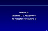 ‹Nº› Módulo 5: Vitamina D y Activadores del receptor de vitamina D.