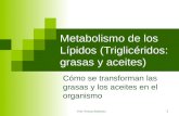 Prof. Viviana Sabbatino 1 Metabolismo de los Lípidos (Triglicéridos: grasas y aceites) Cómo se transforman las grasas y los aceites en el organismo.