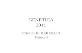 GENETICA 2011 PARTE II: HERENCIA Teórica 8. GENETICA DEL CÁNCER.