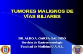 TUMORES MALIGNOS DE VÍAS BILIARES DR. ALDO A. GARZA GALINDO Servicio de Gastroenterología Facultad de Medicina U.A.N.L.
