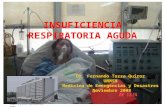 INSUFICIENCIA RESPIRATORIA AGUDA Dr. Fernando Tazza Quiroz UNMSM Medicina de Emergencias y Desastres Noviembre 2008 .