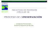 INICIATIVAS DE INVERSION CIRCULAR 36 PROCESO DE CONSERVACIÓN Unidad de Preinversión Gobierno Regional del Bio Bio.