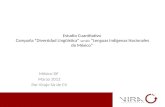 Estudio Cuantitativo Campaña “Diversidad Lingüística” versión “Lenguas Indígenas Nacionales de México” México DF Marzo 2012 Por Viraje SA de CV.