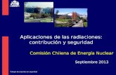 Comisión Chilena de Energía Nuclear Septiembre 2013 Aplicaciones de las radiaciones: contribución y seguridad Colegio de expertos en seguridad.