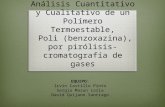 Análisis Cuantitativo y Cualitativo de un Polímero Termoestable, Poli (benzoxazina), por pirólisis-cromatografía de gases EQUIPO: Irvin Castillo Pinto.