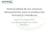 Potencialidad de los sistemas silvopastoriles para la producción forestal en Honduras Juan Carlos Flores, Ph.D. Coordinador Nacional Finnfor Honduras.
