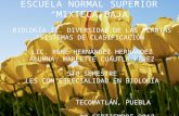 ESCUELA NORMAL SUPERIOR “MIXTECA BAJA” BIOLOGÍA II. DIVERSIDAD DE LAS PLANTAS “SISTEMAS DE CLASIFICACIÓN” LIC. RENÉ HERNÁNDEZ HERNÁNDEZ ALUMNA. MARLETTE.