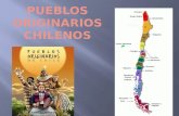 Pueblos del norte : Comprendidas entre las actuales regiones de Arica y Parinacota y Coquimbo y recibió influencia de las civilizaciones andinas. A.