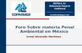 Foro Sobre materia Penal Ambiental en México Israel Alvarado Martínez DEP&A AC Defensoría Penal & Ambiental _____________________israelam@depya.com.