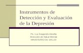 Instrumentos de Detección y Evaluación de la Depresión Ps. Luz Aragonés Alosilla Dirección de Salud Mental MINISTERIO DE SALUD.