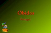 2015-04-18 Óbidos es una vila portuguesa en el distrito de Leiria, región Centro.
