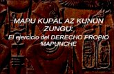 MAPU KUPAL AZ KUNUN ZUNGU: El ejercicio del DERECHO PROPIO MAPUNCHE.
