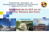 FEDERACION NACIONAL DE TRABAJADORES MINEROS METALURGICOS Y SIDERURGICOS DEL PERU Realidad de la SST en el Sector Minero del Perú MAYO del 2012.