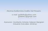Alumna:Guillermina Cedillo Del Rosario. e-mail: guillefis@yahoo.com guillefis1@gmail.com guillefis1@gmail.com Asesores: Humberto Antonio Salazar Ibargüen.