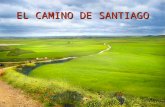 EL CAMINO DE SANTIAGO Pero … ¿qué es el Camino de Santiago? En pocas palabras … el Camino de Santiago es una ruta que recorren los peregrinos procedentes.