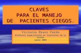 CLAVES PARA EL MANEJO DE PACIENTES CIEGOS. Victoria Bravo Pardo Profesora Especialista en Trastornos de la Visión junio 2005.