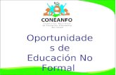 Oportunidades de Educación No Formal. I. Expresiones educativas desde el subsistema no formal en Honduras a.Alfabetización de jóvenes y adultos ( 15 años.