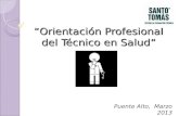 “Orientación Profesional del Técnico en Salud” Puente Alto, Marzo 2013.