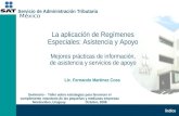 La aplicación de Regímenes Especiales: Asistencia y Apoyo Mejores prácticas de información, de asistencia y servicios de apoyo México Índice Seminario.