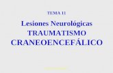 Dra.Laura García Rodriguez1 Lesiones Neurológicas TRAUMATISMO CRANEOENCEFÁLICO TEMA 11.