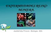 ENFERMEDADES REINO MONERA. Jasblehidy Pinzon- Biologia -905