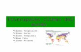 Principales climas del mundo *Climas Tropicales *Climas Secos *Climas Templados *Clima Frio *Climas Polares.