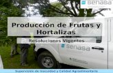 Producción de Frutas y Hortalizas Resoluciones Vigentes Supervisión de Inocuidad y Calidad Agroalimentaria.