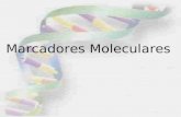 Marcadores Moleculares ADN ARN Prote­nas Polip©ptidos Enzimas Fenotipo
