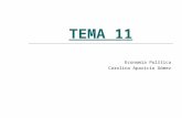 TEMA 11 Economía Política Carolina Aparicio Gómez.