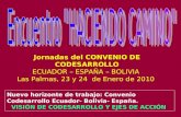 Jornadas del CONVENIO DE CODESARROLLO ECUADOR – ESPAÑA – BOLIVIA Las Palmas, 23 y 24 de Enero de 2010 Nuevo horizonte de trabajo: Convenio Codesarrollo.