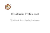 Residencia Profesional División de Estudios Profesionales.