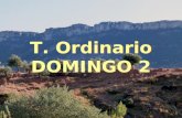T. Ordinario DOMINGO 2 T. Ordinario DOMINGO 2 “ SALMO (39) SALMO (39) Aquí estoy, Señor, para hacer tu voluntad. Aquí estoy, Señor, para hacer tu voluntad.