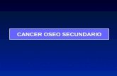 CANCER OSEO SECUNDARIO. Es el más frecuente de los tumores óseos Bologne.