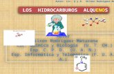 Autor: Lic. Q y B. Nilxon Rodríguez Maturana. 1 Los hidrocarburos alquenos también son conocidos con el nombre de olefinas, (del latín, oleum = aceite.