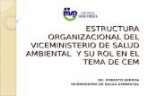 ESTRUCTURA ORGANIZACIONAL DEL VICEMINISTERIO DE SALUD AMBIENTAL Y SU ROL EN EL TEMA DE CEM DR. ROBERTO BERROA VICEMINISTRO DE SALUD AMBIENTAL.