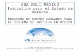 ABA ROLI MÉXICO Iniciativa para el Estado de Derecho PROGRAMA DE NUEVOS ABOGADOS PARA EL SISTEMA DE JUSTICIA EN MÉXICO ® Todos los derechos reservados.