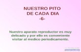 NUESTRO PITO DE CADA DIA -6- Nuestro aparato reproductor es muy delicado y por ello es conveniente visitar al medico periodicamente.