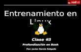 Entrenamiento en Linux Clase #3 Por: Javier García Salgado Profundización en Bash.