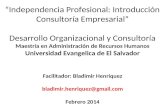 “Independencia Profesional: Introducción Consultoría Empresarial” Desarrollo Organizacional y Consultoría Maestría en Administración de Recursos Humanos.