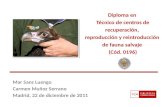 Mar Sanz Luengo Carmen Muñoz Serrano Madrid, 22 de diciembre de 2011 Diploma en Técnico de centros de recuperación, reproducción y reintroducción de fauna.