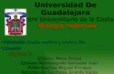 Universidad De Guadalajara Centro Universitario de la Costa Hibridación: Sondas, southern y northern blot Clonación Equipo 3 Biología molecular Chávez.