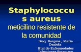 Staphylococcus aureus meticilino resistente de la comunidad Bioq. Borgnia, Maria Daniela Htal de Enfermedades Infecciosas Francisco J.Muñiz.