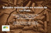 Radioactividad y Medio Ambiente 2014 Profesor: Dr Leonardo Errico JTP: Dra Luciana Montes Facultad de Ciencias Exactas-UNLP Instituto de Física La Plata.