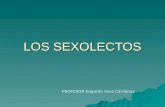 LOS SEXOLECTOS PROFESOR Edgardo Vera Cárdenas. Los sexolectos  Las lenguas son artefactos creados para resolver las necesidades comunicativas y cognitivas.