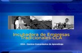 1 Incubadora de Empresas Tradicionales-CCA CCA - Centros Comunitarios de Aprendizaje.
